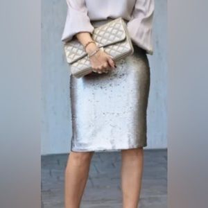 Banana Republic Sequence Skirt New SZ 10